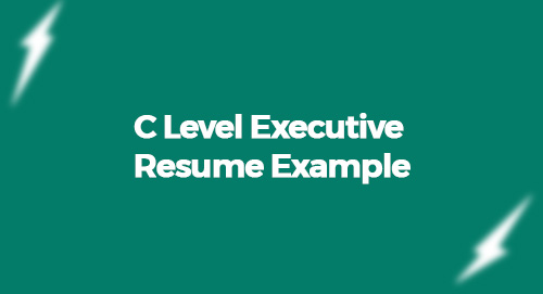 C Level Executive Resume Example