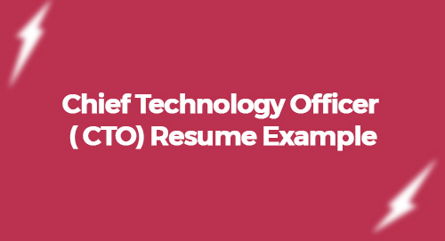 Chief Technology Officer ( CTO) Resume Example