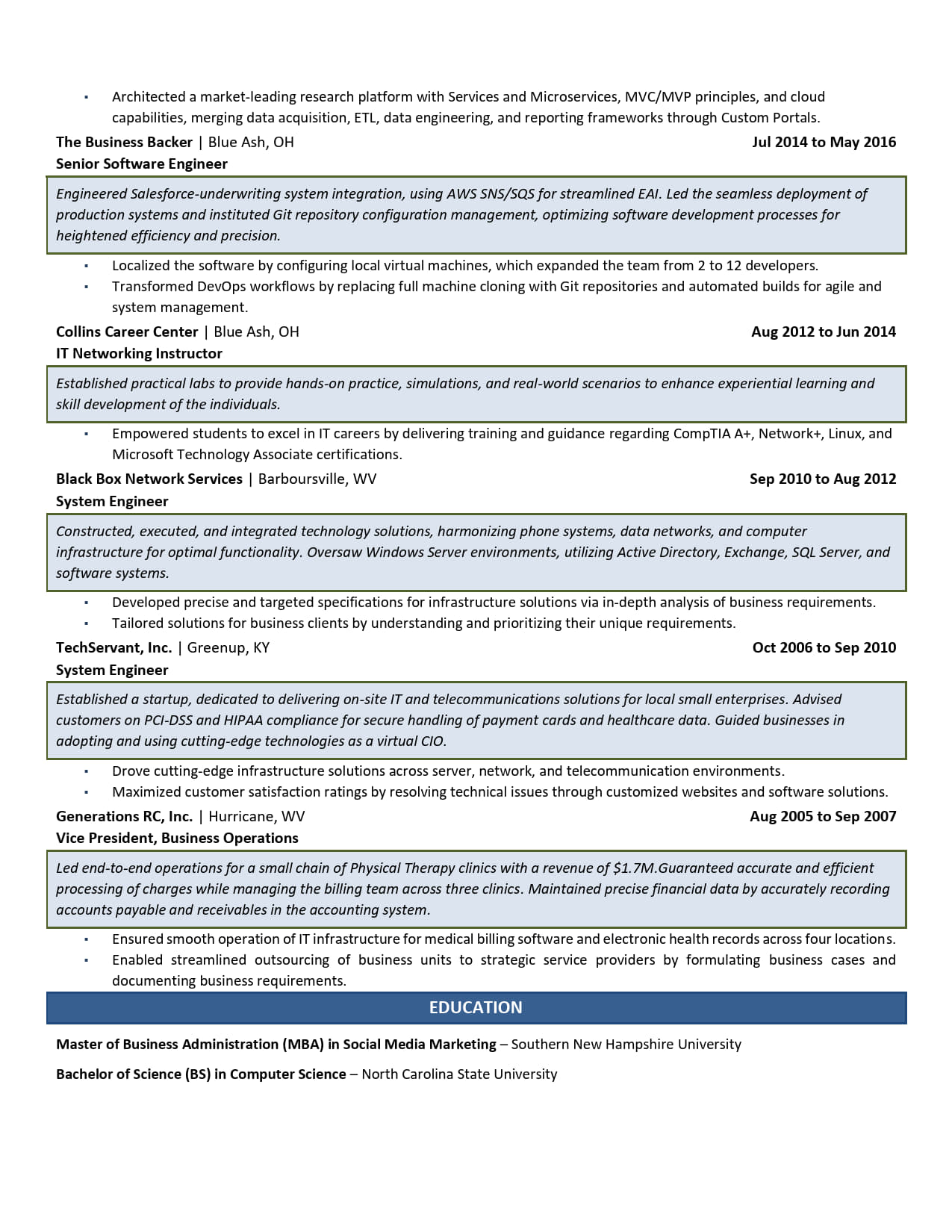 Chief Technology Officer ( CTO) Resume Example