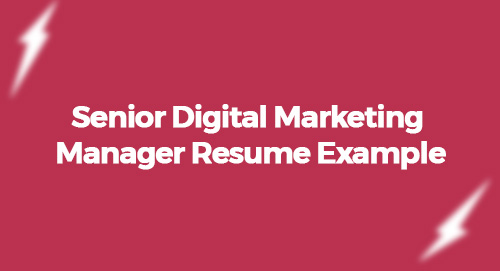 Senior Digital Marketing Manager Resume Example