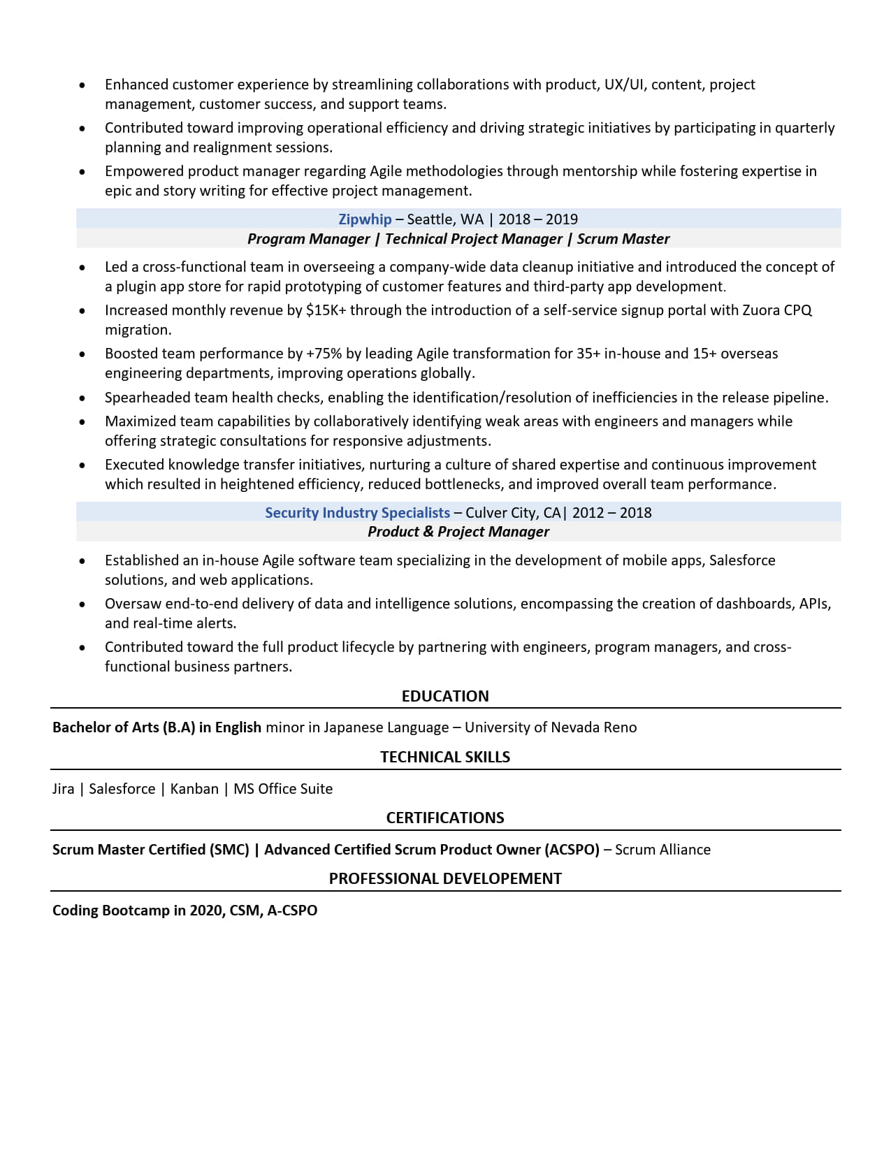 Technical Product Manager Resume Example